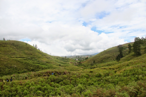 bukit-cambai