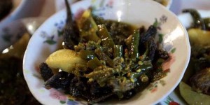 belut-lado-hijau