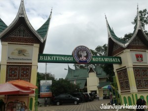 Manjakan Lidah Kuliner Khas Padang di Tanah Minang
