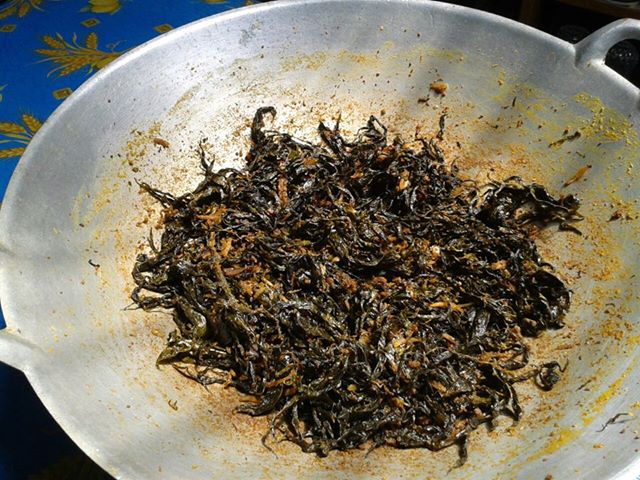 rendang pucuk paku dan rendang maco