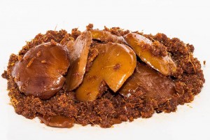 jenis rendang di Padang atau Sumatera Barat salah satunya rendang jengkol