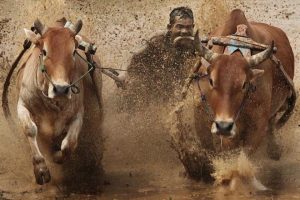 Tradisi Unik Sumatera Barat Yang Masih Eksis Sampai Sekarang