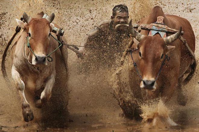 Tradisi Unik Sumatera Barat Yang Masih Eksis Sampai Sekarang