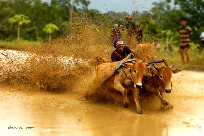 Intip Tradisi Unik Di Ranah Minang yang Wajib Kamu Saksikan