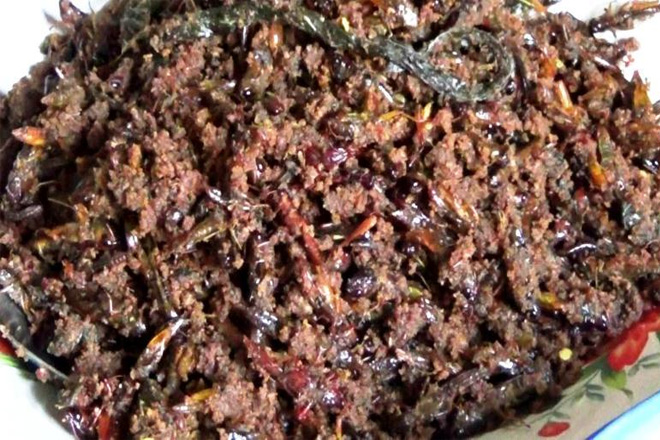 Gurihnya Kuliner Rendang Belalang Khas Nagari Sisawah Sijunjung