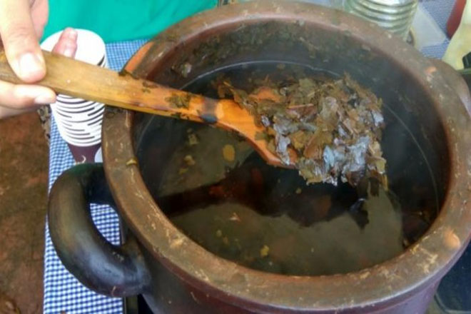 Ternyata Inilah Sejarah Kopi Kawa Khas Payakumbuh