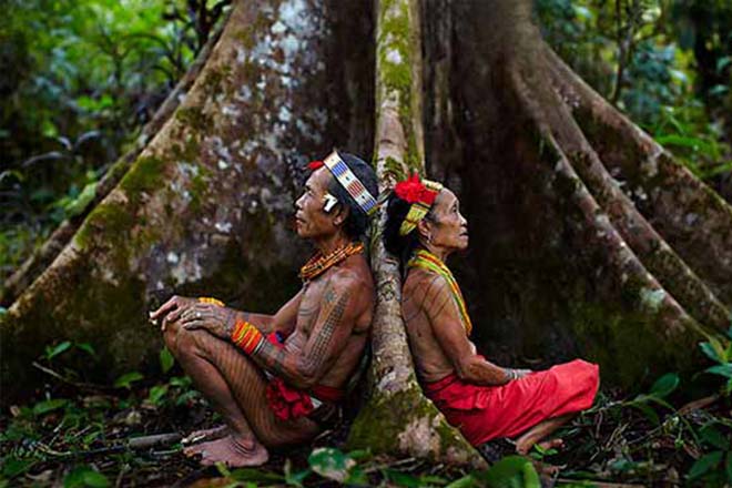 Tato Orang Mentawai Ternyata Tertua di Dunia Mengalahkan Mesir Kuno