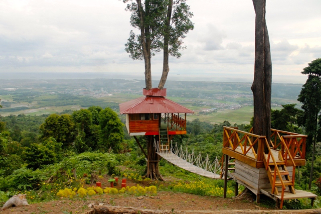 rumah pohon padang Nagari Pancuang Taba