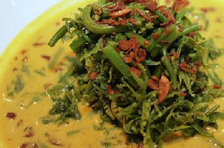 Resep Rahasia Masakan Padang yang Membuatnya Disukai Banyak Lidah