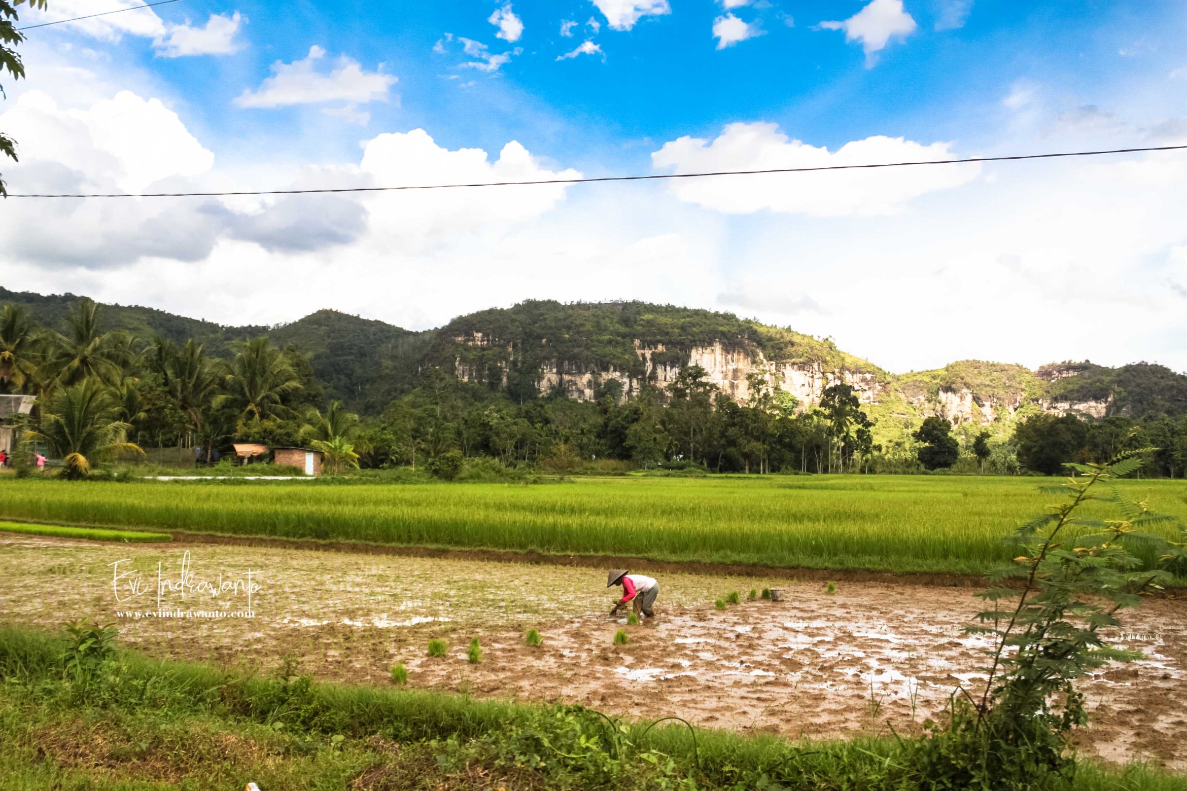 Wisata Kelas Dunia Lembah Harau Rasa Eropa?