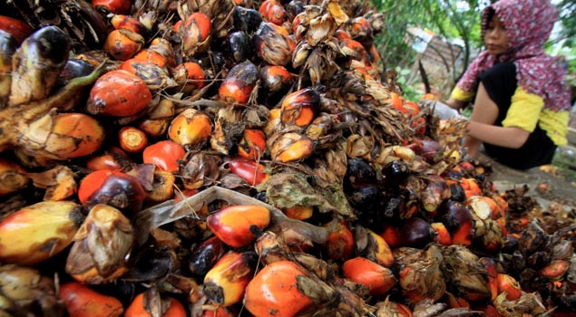 Ekspor Produk Sawit Asal Padang Sampai Ke Selandia Baru