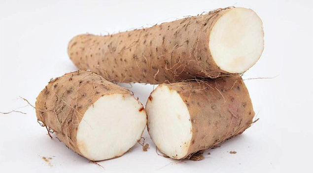 Singkong Fantastis Yang Diolah Menjadi Makanan Khas Sumbar