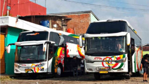 bus minang