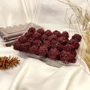 sarang balam dapurferlee