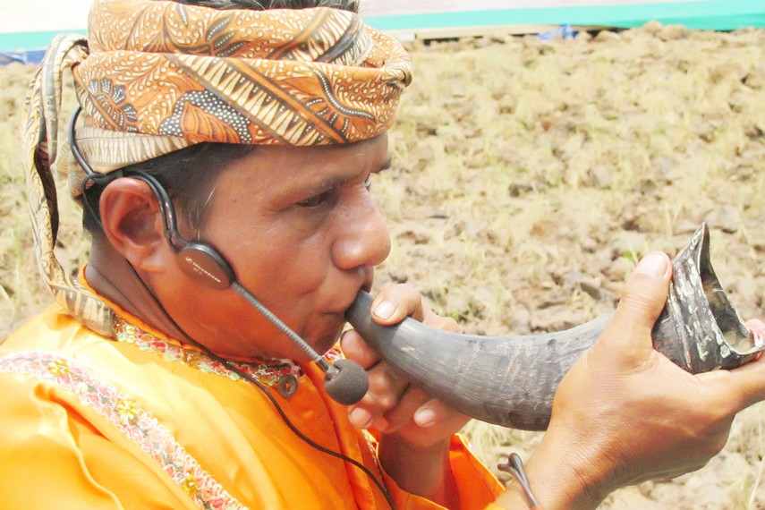 pupuik tanduak sumber indonesiakaya