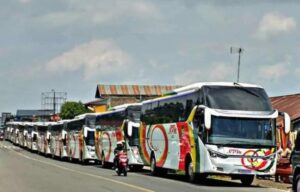 pulang basamo naik bus NPM