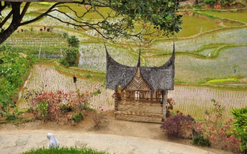 Kasri Berhasil Runtuhkan ‘Kutukan Miskin' di Desanya Talang Babungo