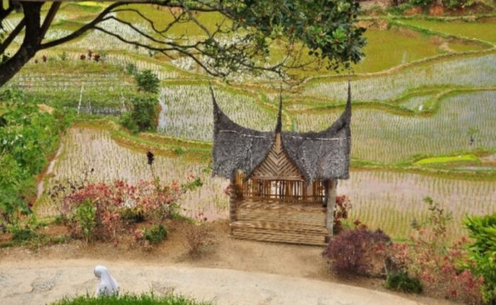 Kasri Berhasil Runtuhkan ‘Kutukan Miskin' di Desanya Talang Babungo