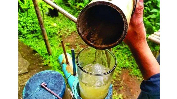 Air Niro Minuman Legendaris Khas Minangkabau yang Kaya Khasiatnya