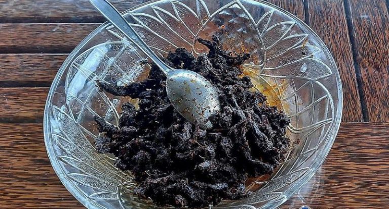 Wow! Rendang Daun Kayu di Harau Jadi Objek Penelitian UNP