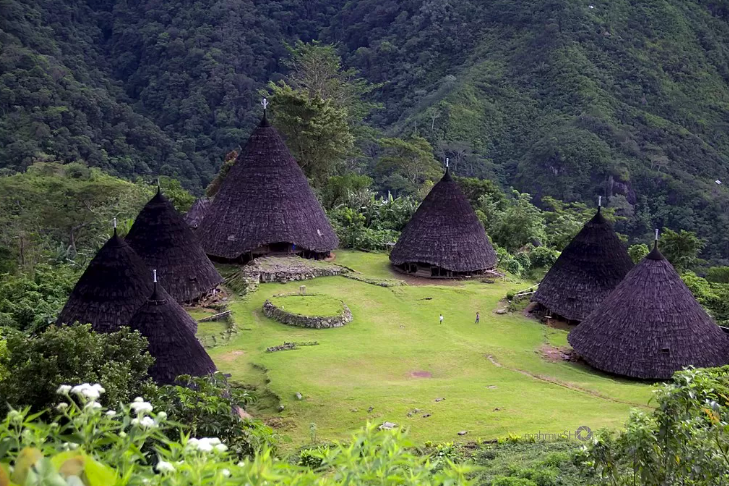 Kisah Perantau Minang yang Bangun Desa Adat Waerebo di Flores